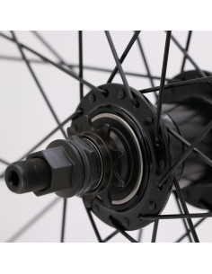 Roue Arrière GT Bikes Freestyle Freecoaster Noir 2