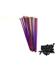 Rayons Total Db Rainbow (X20)