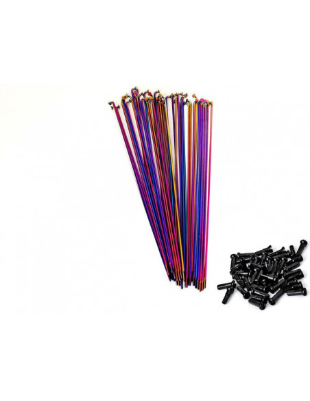 Rayons Total Db Rainbow (X20)