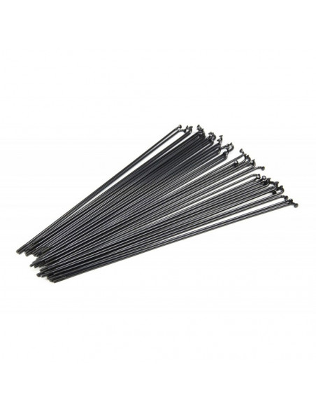 Rayons Mach1 Black (Sachet X 500)