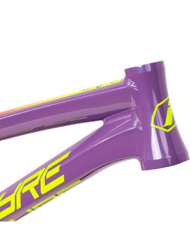 Inspyre Concorde V3 Frame - LTD - Flarer Purple / Blue