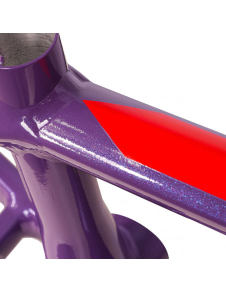 Cadre Inspyre Concorde V3 - LTD - Flarer Purple / Blue