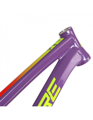 Inspyre Concorde V3 Frame - LTD - Flarer Purple / Blue