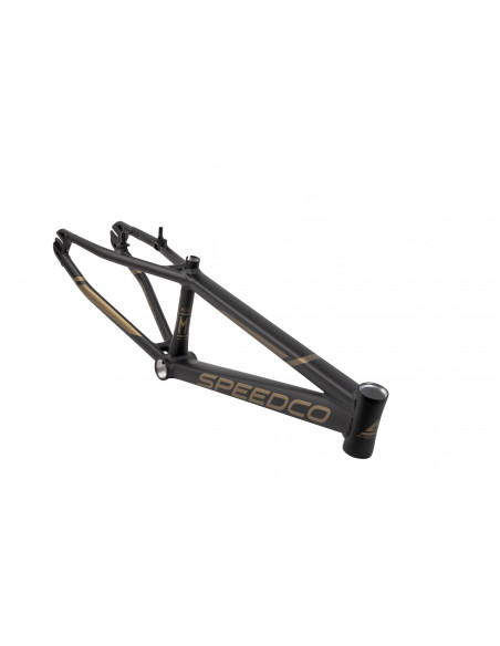 Speedco M2 Frame - Matte Gold