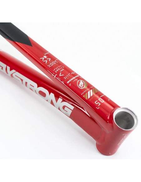 Cadre Stay Strong For Life V5 2025 - Red / Black