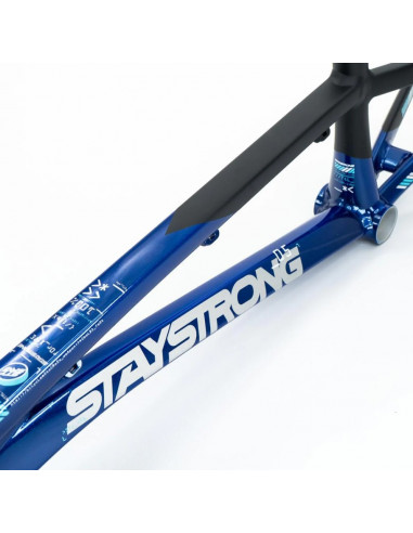 Stay Strong For Life V5 2025 Frame - Navy / Black