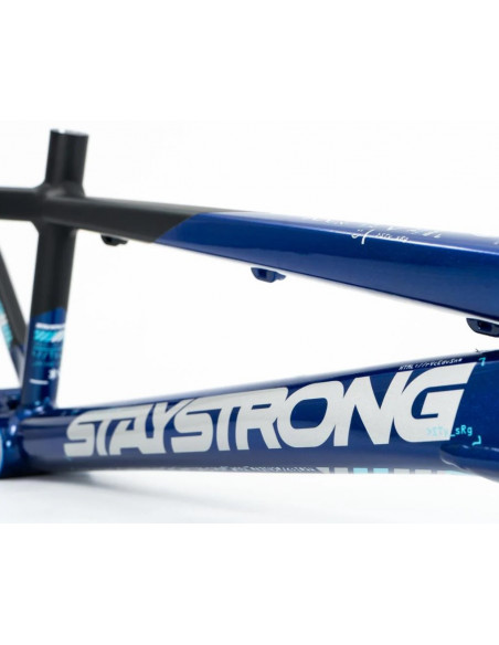 Cadre Stay Strong For Life V5 2025 - Navy / Black