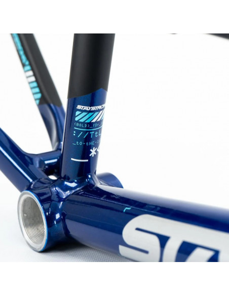 Stay Strong For Life V5 2025 Frame - Navy / Black