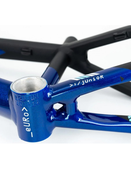 Stay Strong For Life V5 2025 Frame - Navy / Black