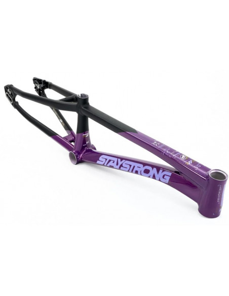 Stay Strong For Life V5 2025 Frame - Purple / Black