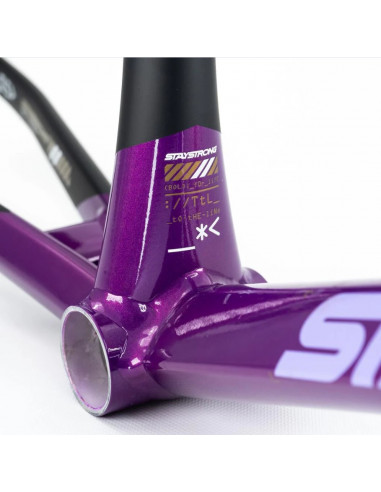 Stay Strong For Life V5 2025 Frame - Purple / Black