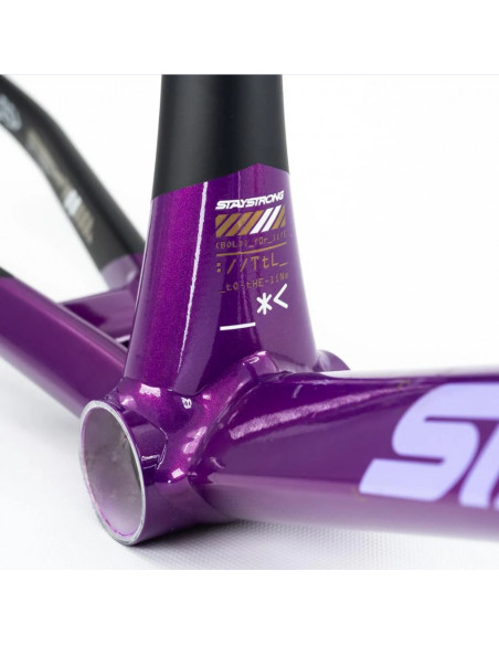 Cadre Stay Strong For Life V5 2025 - Purple / Black