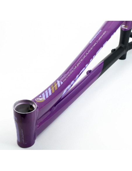 Cadre Stay Strong For Life V5 2025 - Purple / Black