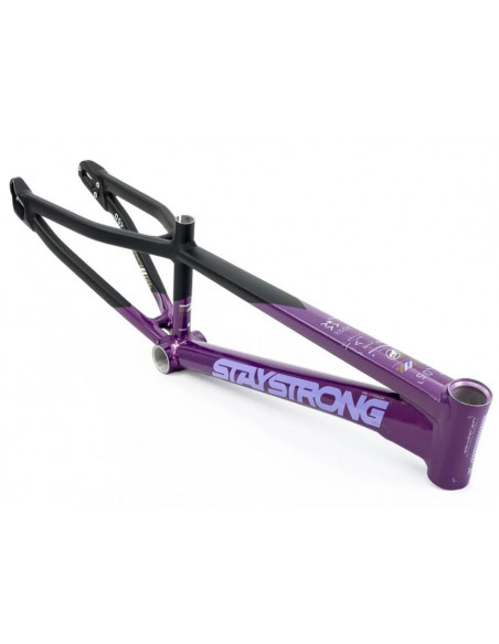 Stay Strong For Life V5 2025 Frame - Purple / Black