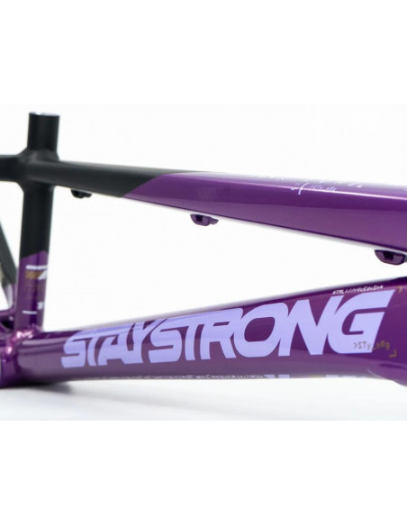 Stay Strong For Life V5 2025 Frame - Purple / Black