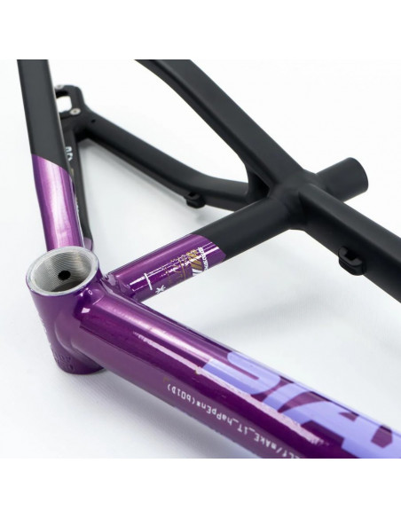 Stay Strong For Life V5 2025 Frame - Purple / Black