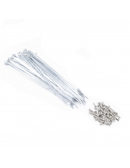 Rayons Mach1 Silver (Boite X 72)