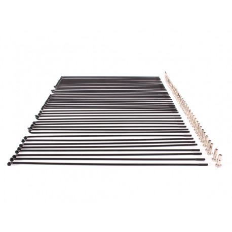 MACH1 SPOKES BLACK (x 100)