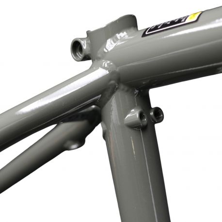 Total Hangover H4 White Fade Frame