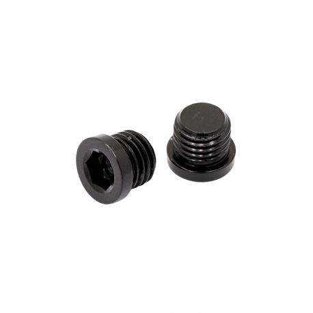 V-Brakes Caps Pride Racing