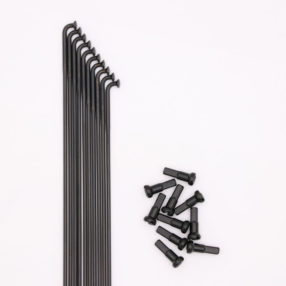 Pride Hexagon Spokes Double Butted (X10)