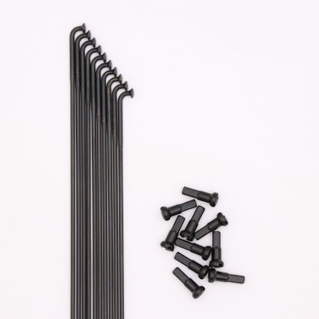 Rayons Pride Hexagon Double Butted (X10)