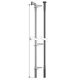 Rayons Pride Hexagon Double Butted (X10) 2