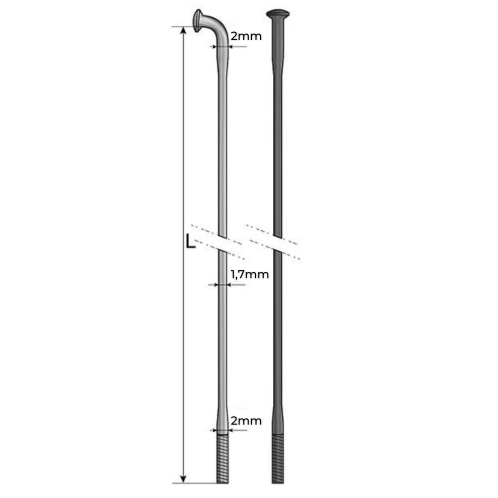 Rayons Pride Hexagon Double Butted (X10)