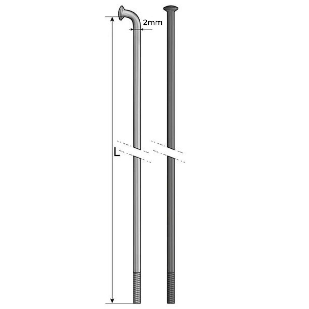Rayons Pride Hexagon Stainless (X10)