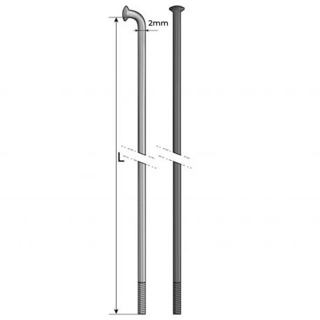 Rayons Pride Hexagon Stainless (X10)