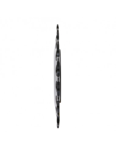 Pignon Pride Racing Matrix - Aluminium