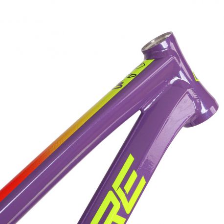 Inspyre Concorde V3 Frame - LTD - Flarer Purple / Blue