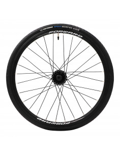 Forward Joyride Exp Disc Rear Wheel 2