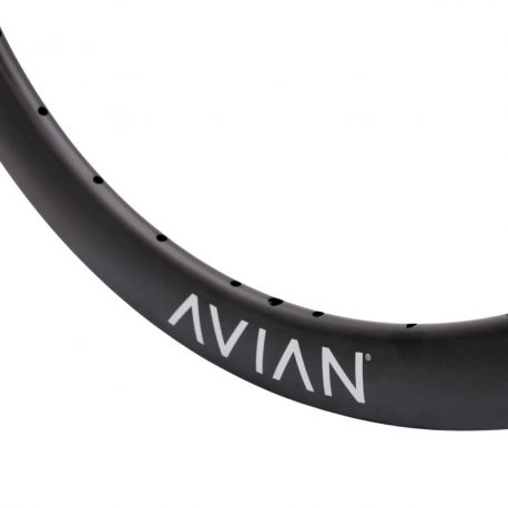 Jante 20" (451) - Avian Venatic Carbon 28H - Matt Black