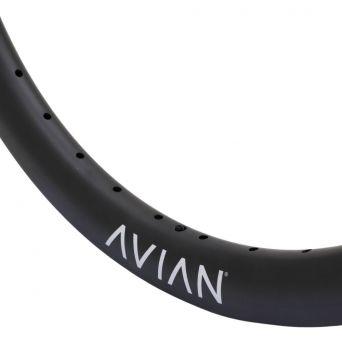 Jante 24" (507) - Avian Venatic Carbon 36H - Matt Black 2