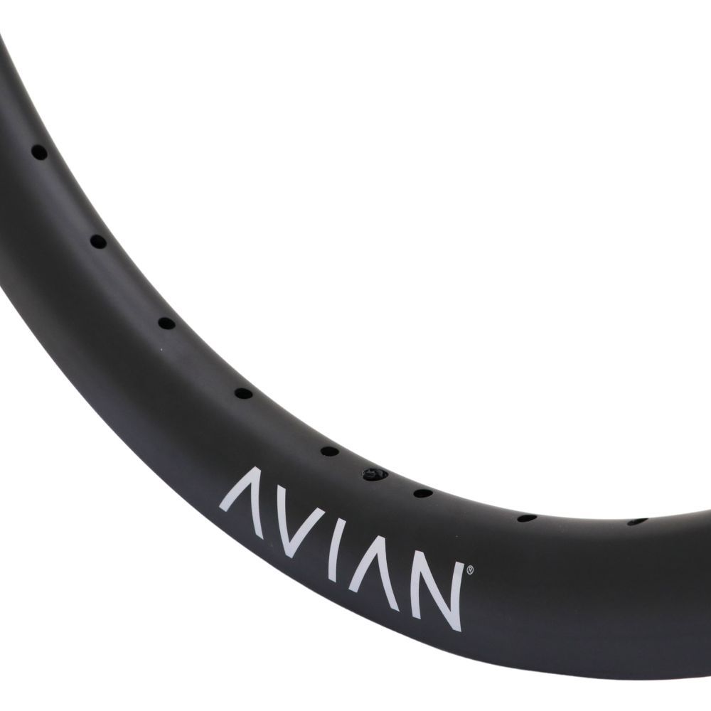Jante 24" (507) - Avian Venatic Carbon 36H - Matt Black