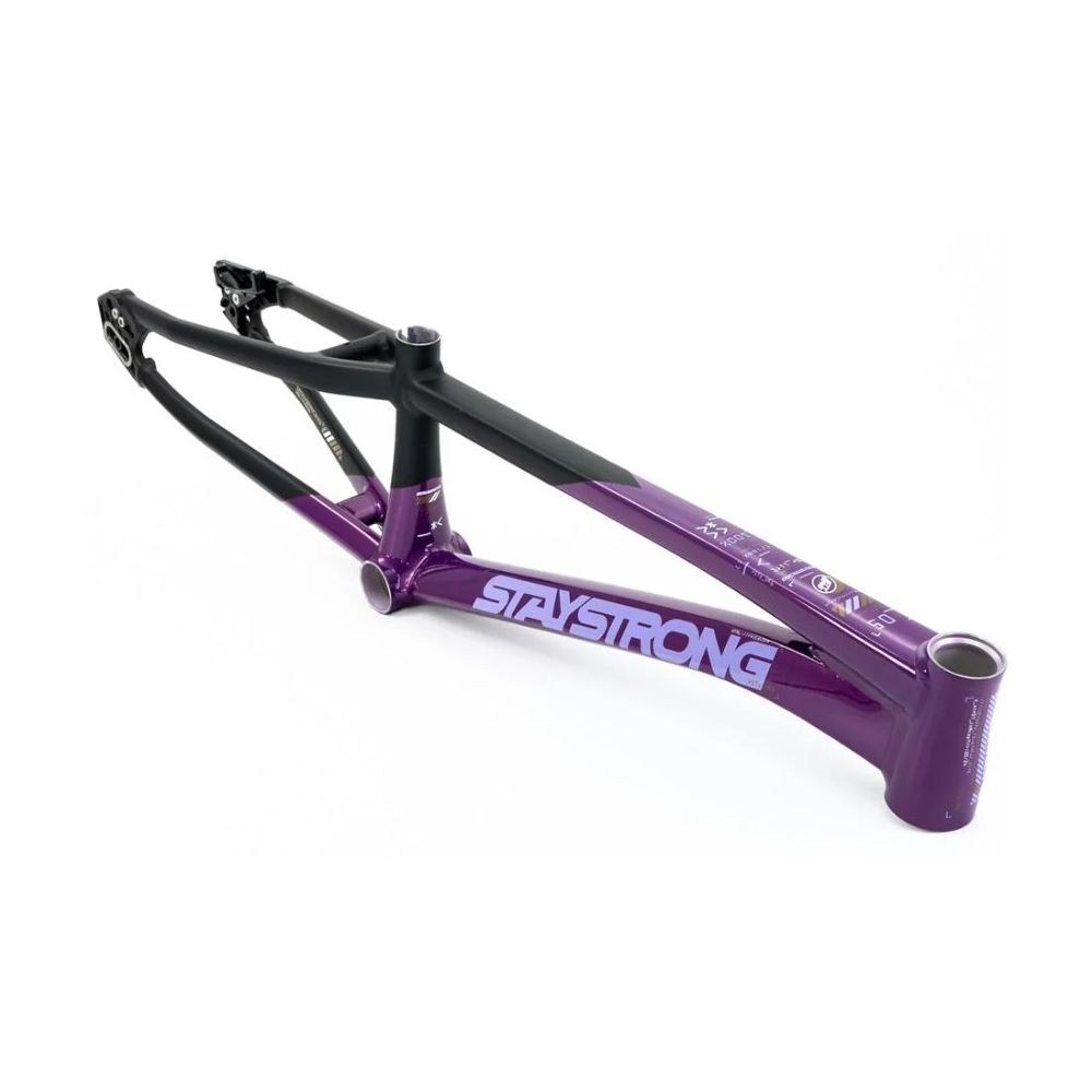 Stay Strong For Life V5 2025 Frame - Purple / Black