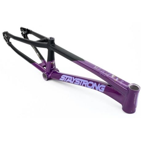 Cadre Stay Strong For Life V5 2025 - Purple / Black