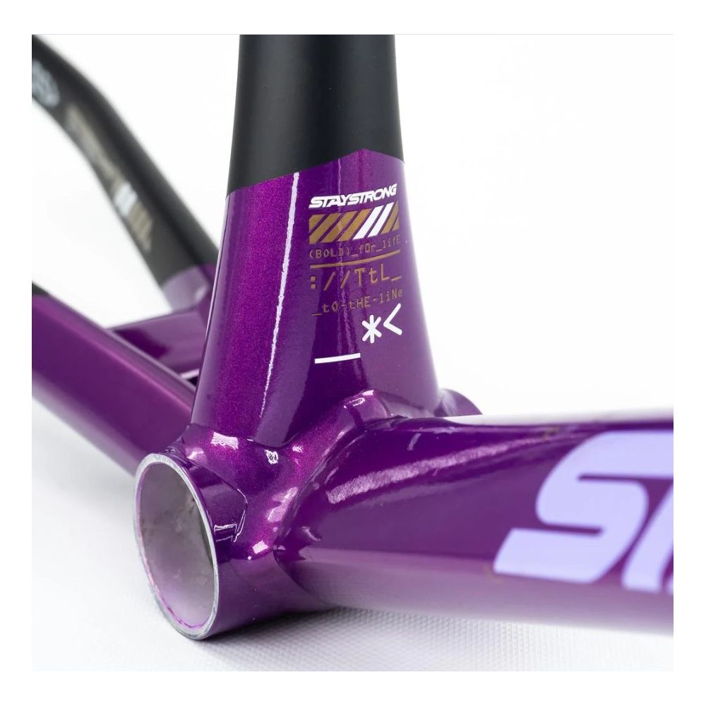 Stay Strong For Life V5 2025 Frame - Purple / Black