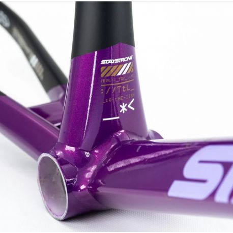 Cadre Stay Strong For Life V5 2025 - Purple / Black