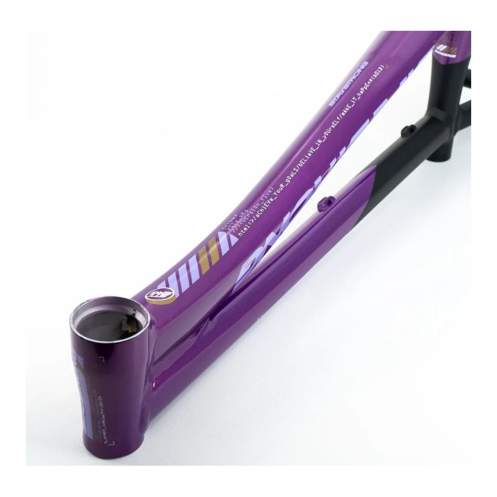 Stay Strong For Life V5 2025 Frame - Purple / Black