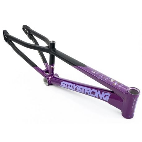 Cadre Stay Strong For Life V5 2025 - Purple / Black
