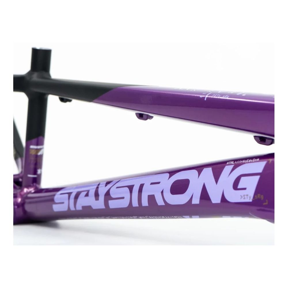 Stay Strong For Life V5 2025 Frame - Purple / Black