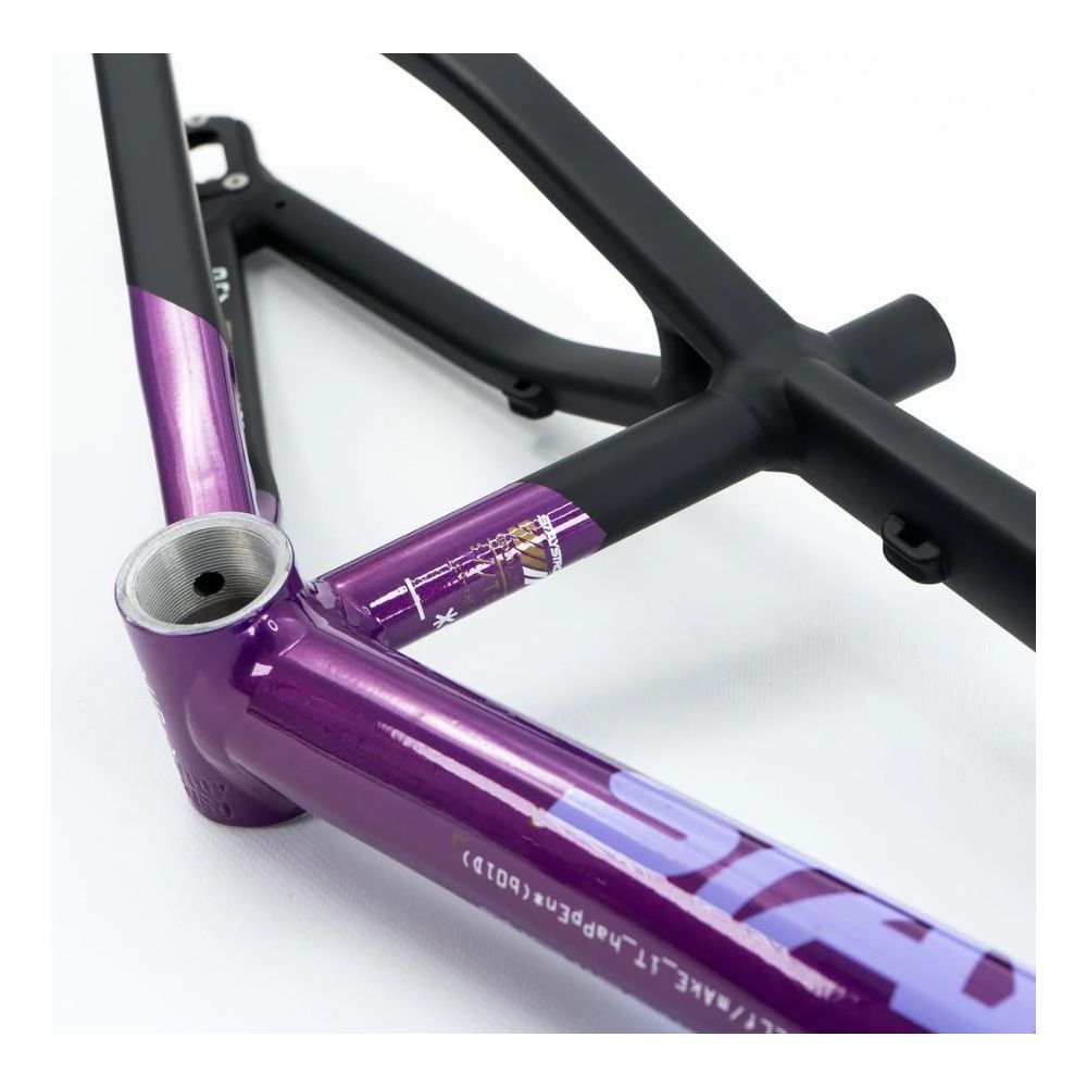 Stay Strong For Life V5 2025 Frame - Purple / Black