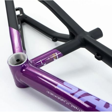 Stay Strong For Life V5 2025 Frame - Purple / Black