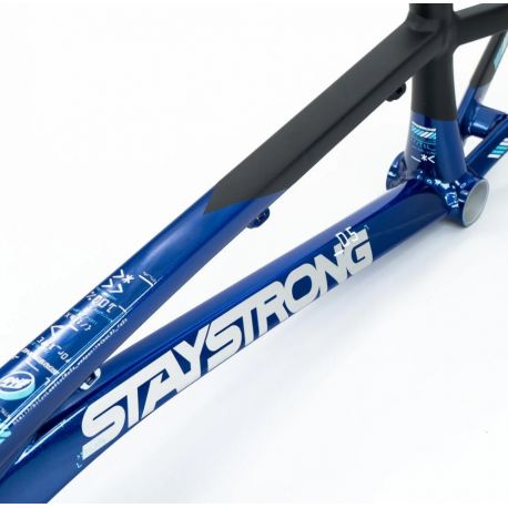 Cadre Stay Strong For Life V5 2025 - Navy / Black