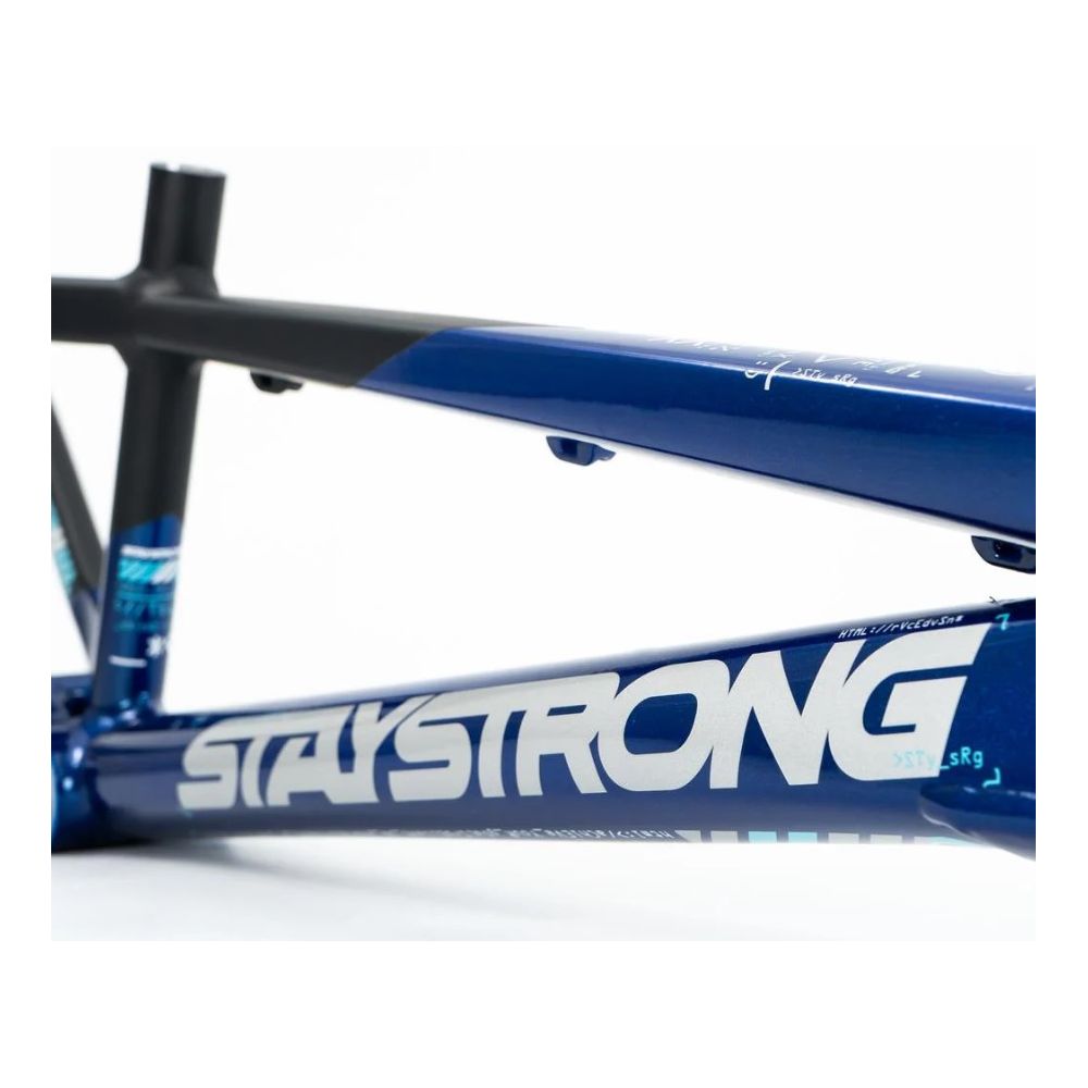 Cadre Stay Strong For Life V5 2025 - Navy / Black