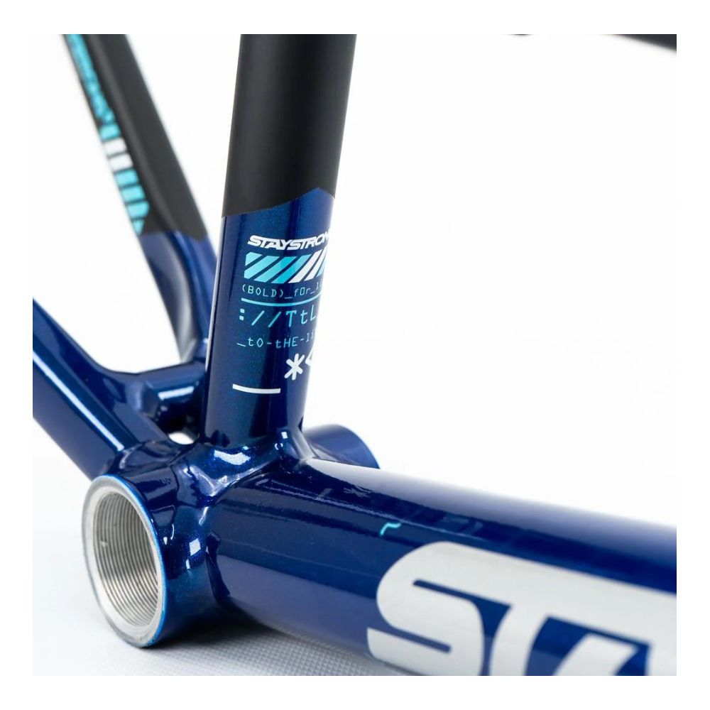 Cadre Stay Strong For Life V5 2025 - Navy / Black