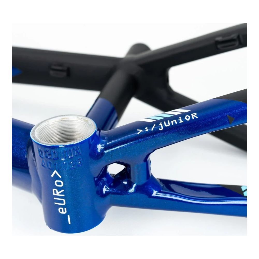 Stay Strong For Life V5 2025 Frame - Navy / Black
