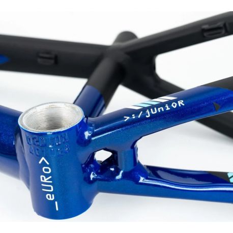 Cadre Stay Strong For Life V5 2025 - Navy / Black